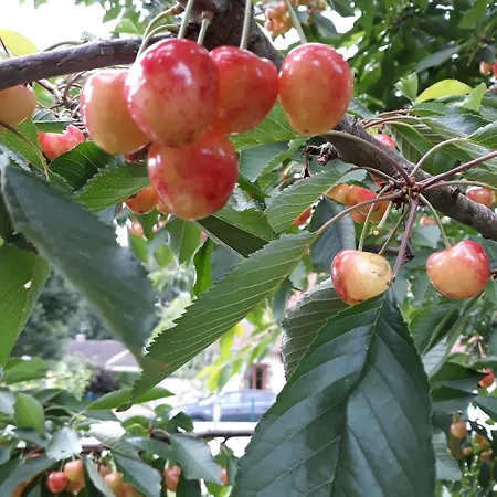 D'hotes Le Clos Poli ゲストハウス 3*