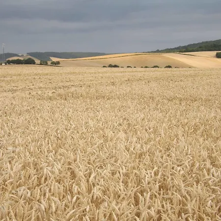 D'hotes Le Clos Poli ゲストハウス